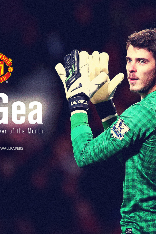 Игрок Манчестер Юнайтед Дэвид Де Хеа в темных тонах