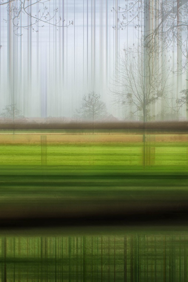 Размытый лес