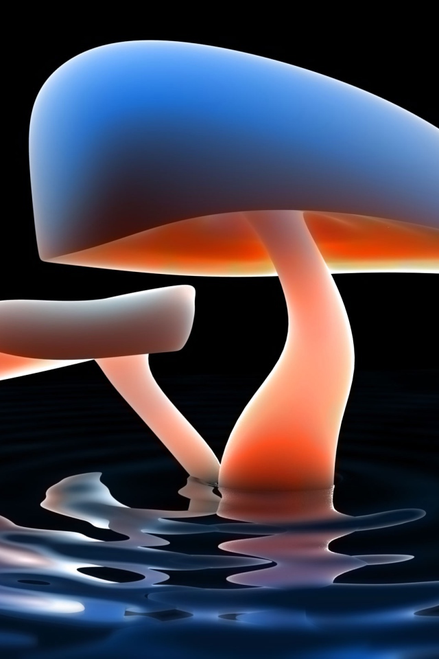 Озеро грибов