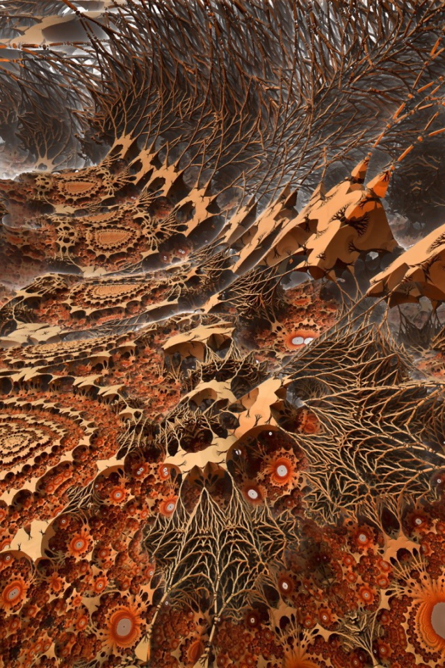 Загадочный мир корней