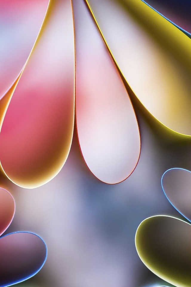 Лепестки цветов