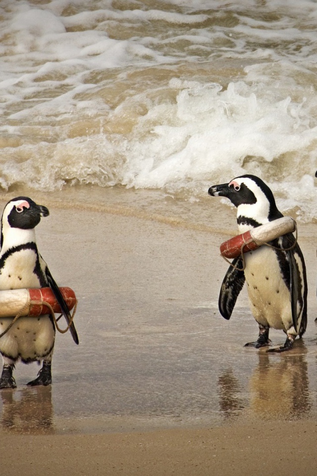 Cпасатели на льду