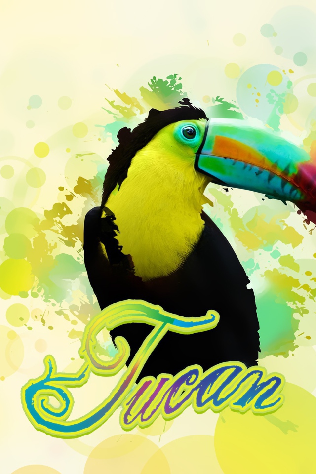 Птица тукан в красках