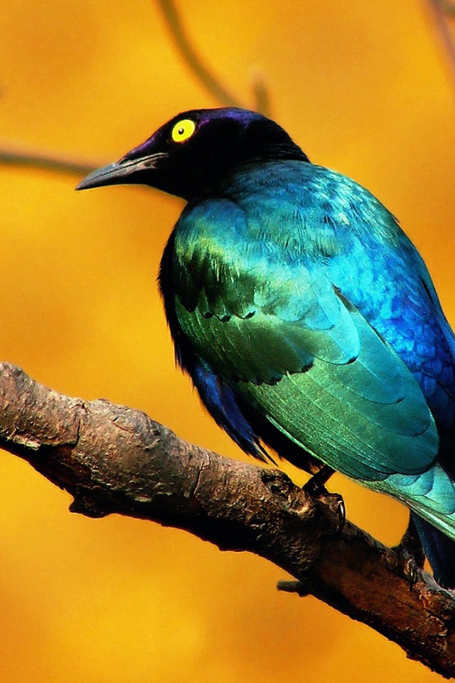 Птица на ветке