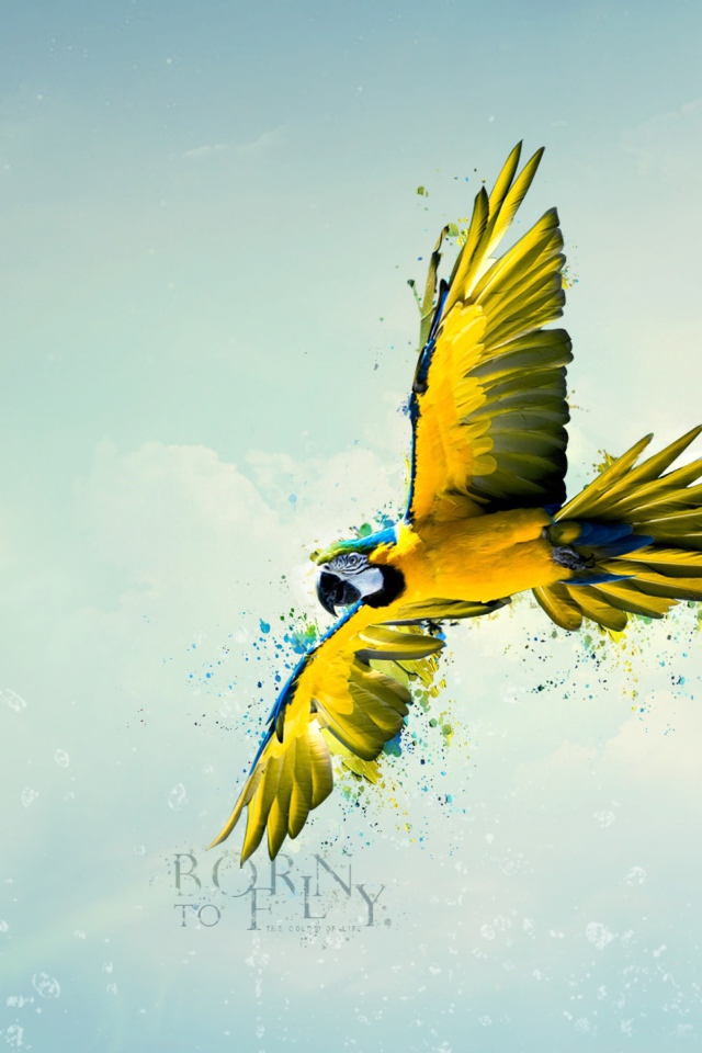 Рождена летать