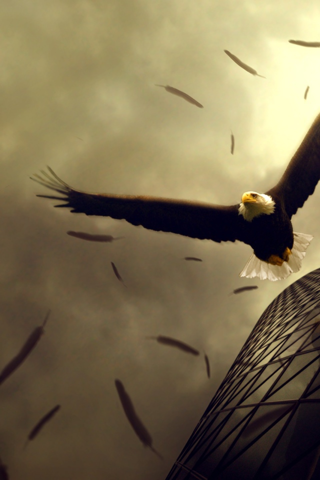 Полет орлов