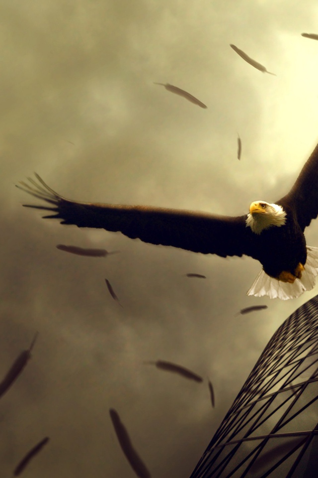 Орел теряет перья