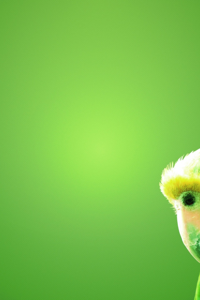 Зеленый попугай