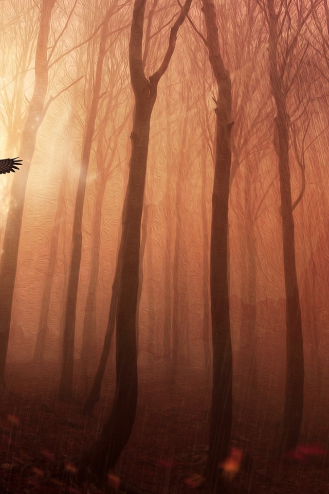 Сова в лесу