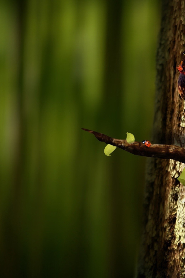 Попугай на ветке