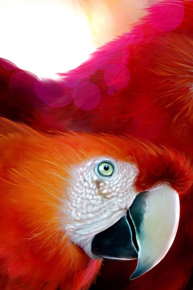 Обои с попугаями