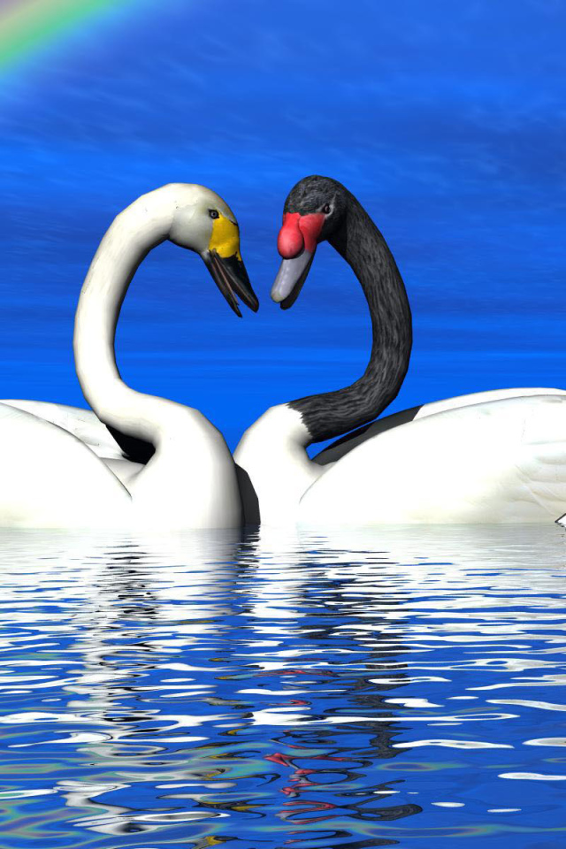 Лебеди под радугой