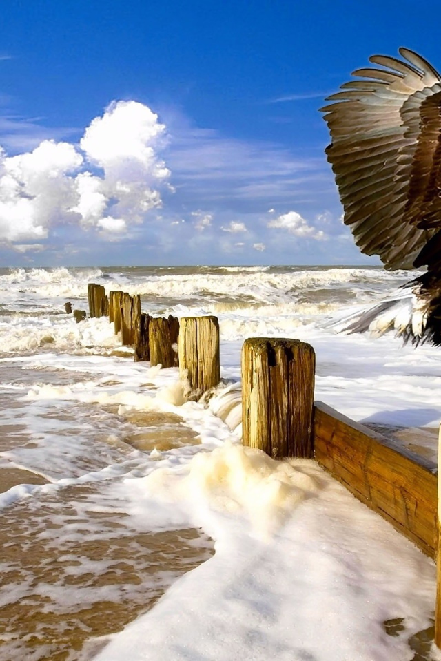 Орел садится на столб