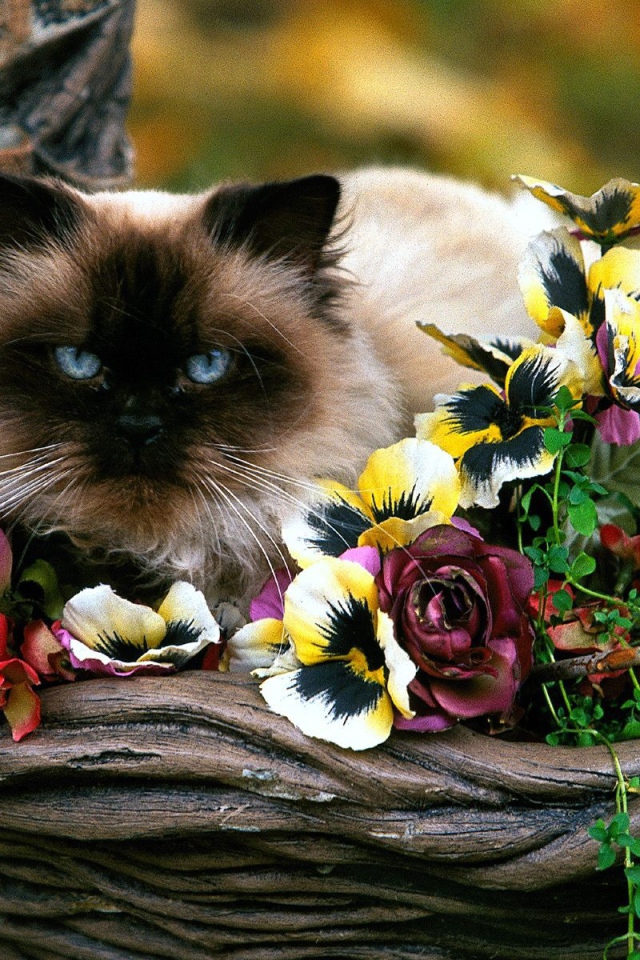 Садовая корзинка