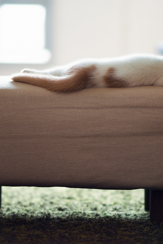 Котенок спит на пуфике