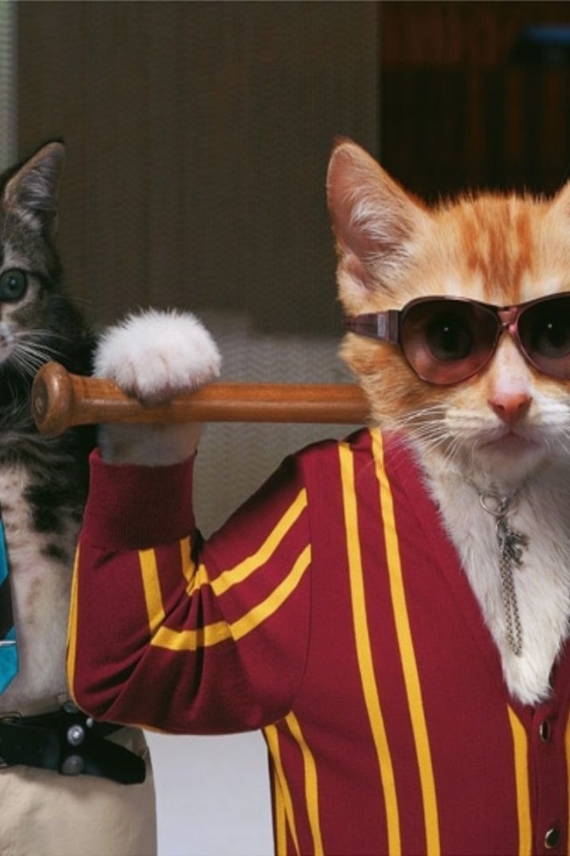 Коты с битами