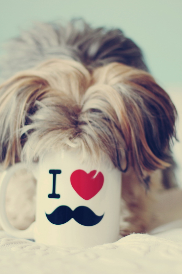 Собака пьет из чашки