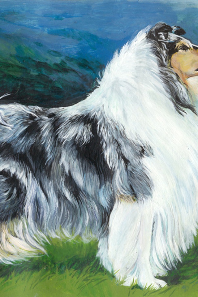 Картина с изображением колли