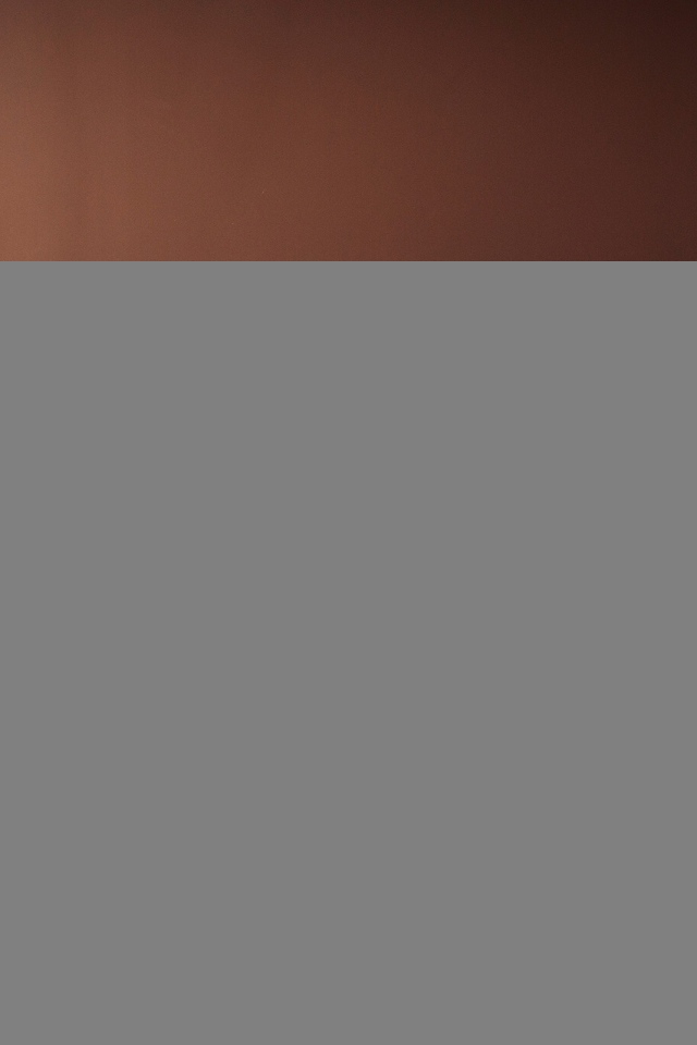 Американская акита