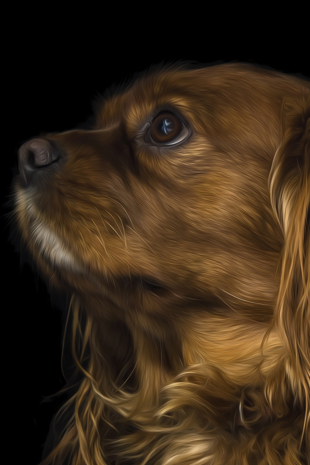 Коричневый кавалер кинг чарльз спаниель