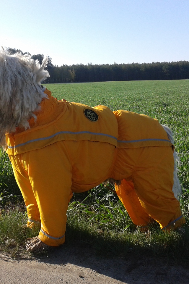 Комбинезон для комондора