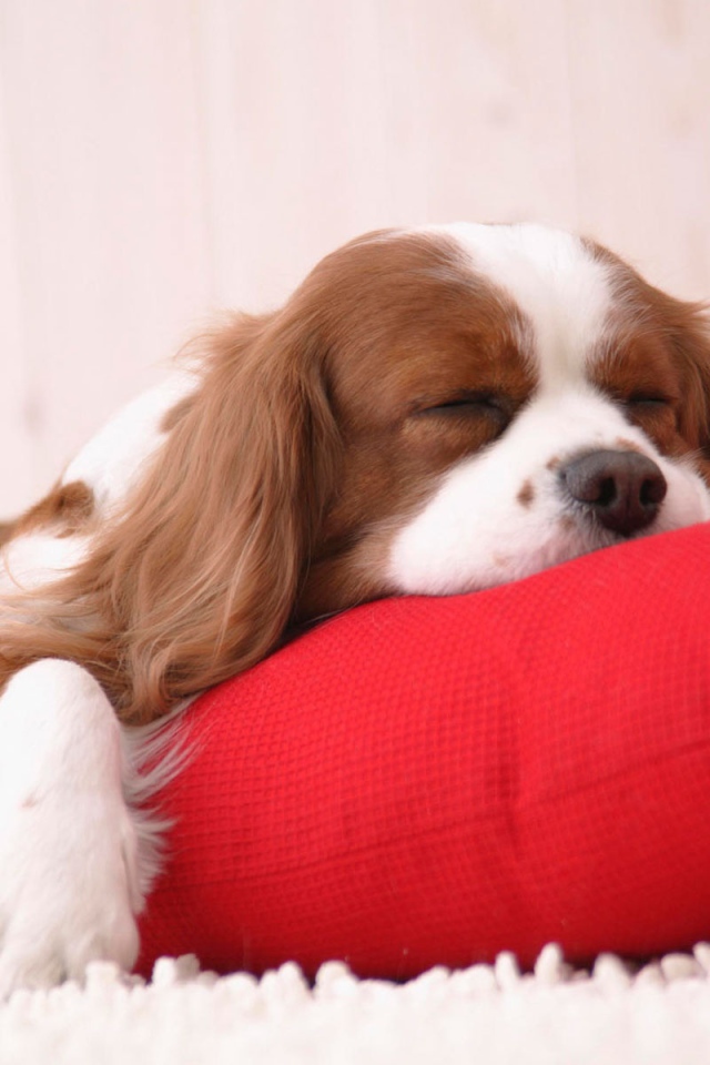 Время вздремнуть