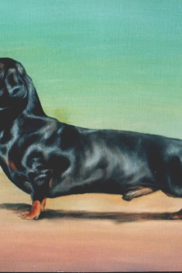 Картина с таксой