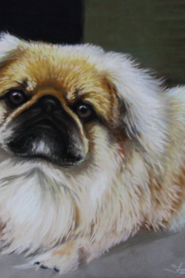 Пекинес на картине