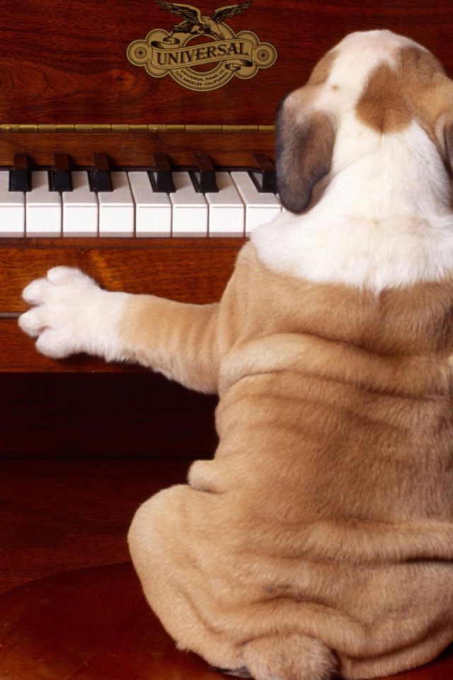 Сыграй снова 