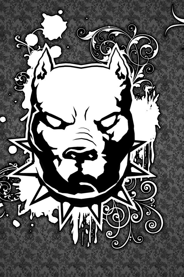 Изображение злого питбуля