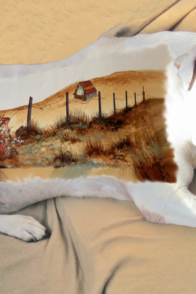 Картина на спине американского стаффордширского терьера