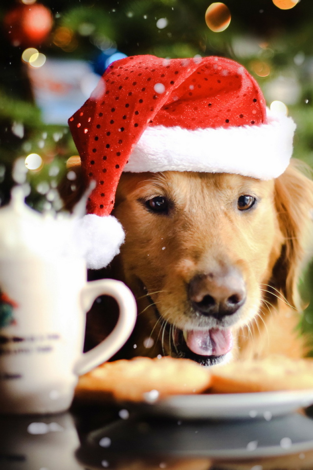 Новогодняя собака