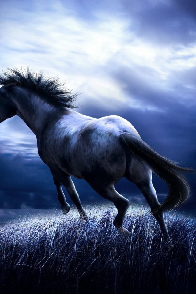 Темная лошадь