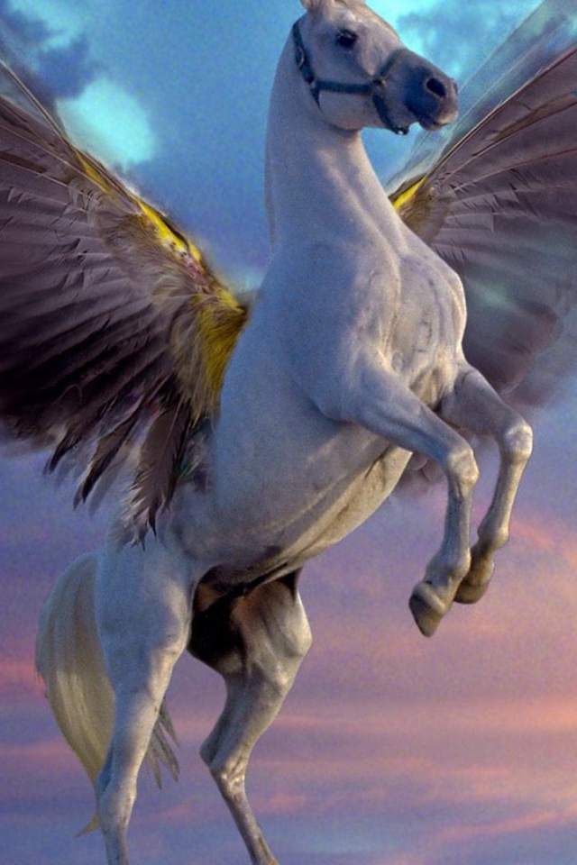 Белый Пегас