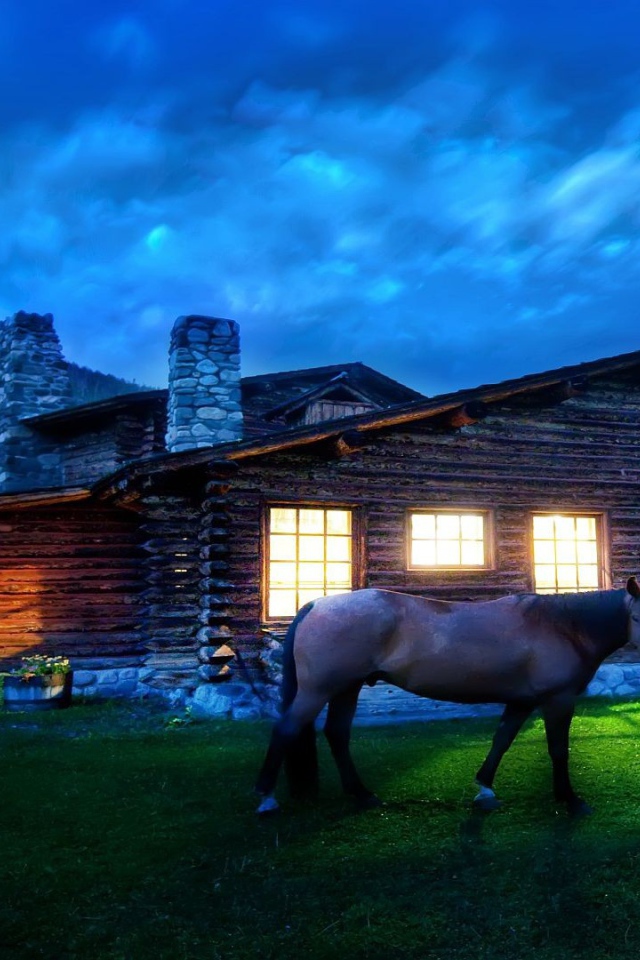 Лошадь около дома