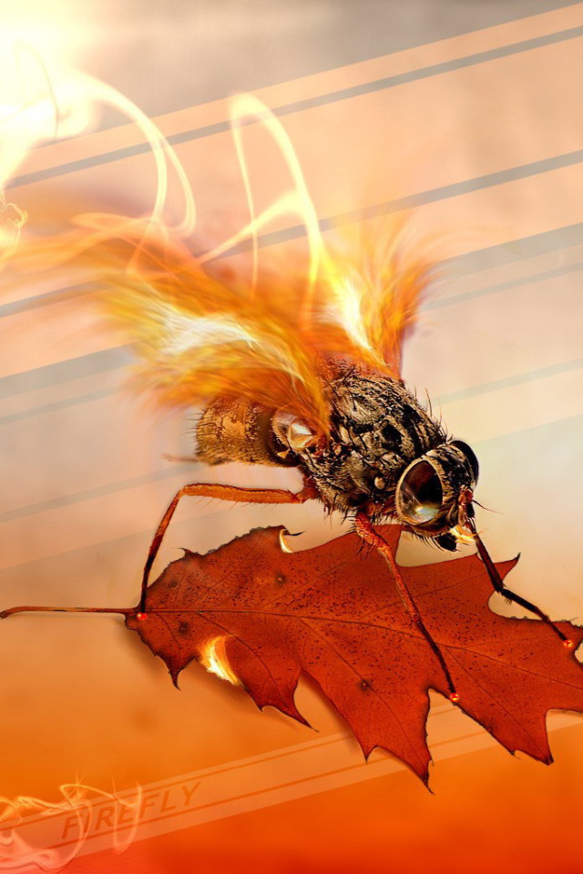 Муха с огненными крыльями