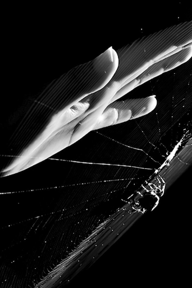 Рука у паутины