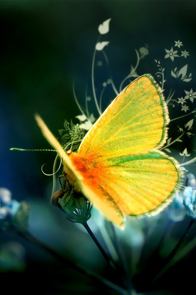 Желтая бабочка на цветке