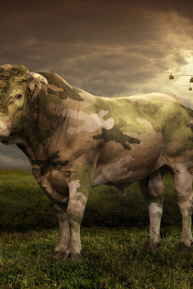 Бык цвета хаки