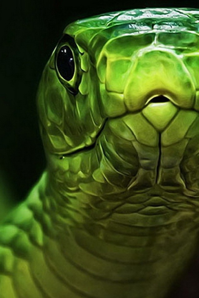 Голова зеленой змеи