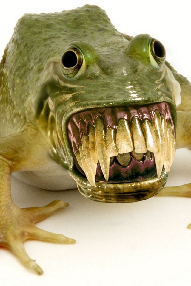 Зубастая лягушка