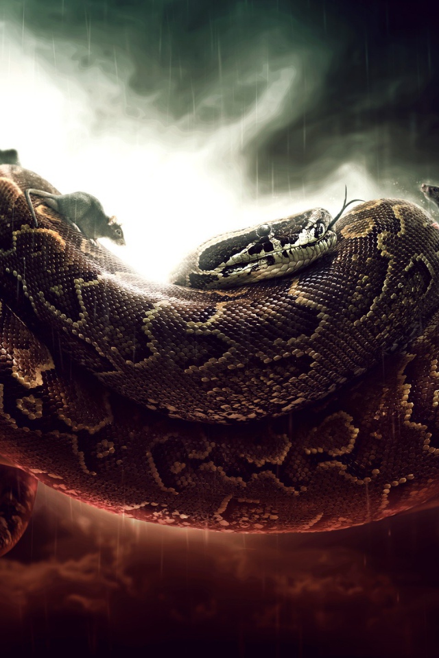 Мыши бегают по удаву