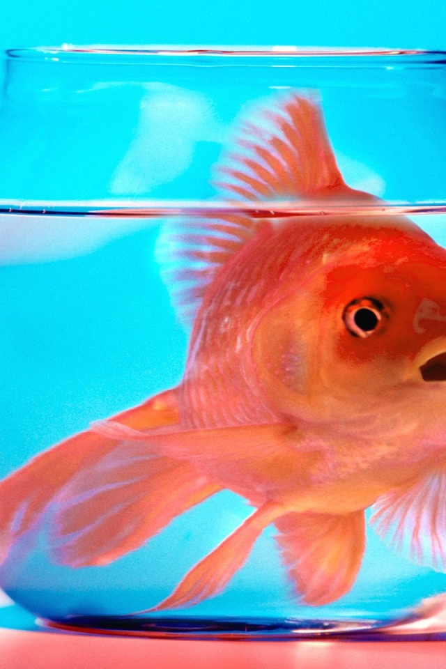 Не волнуйся