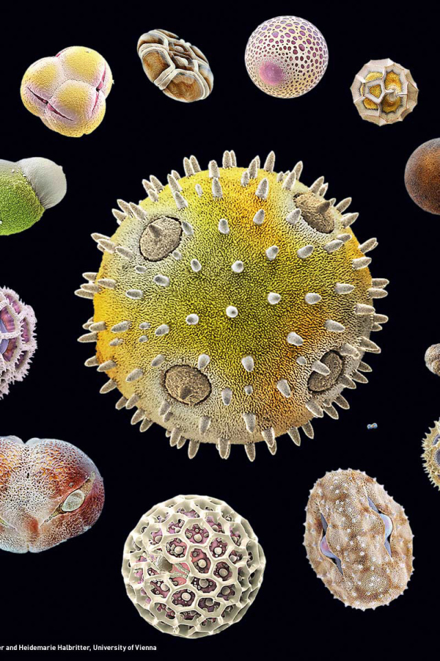 Морская тема