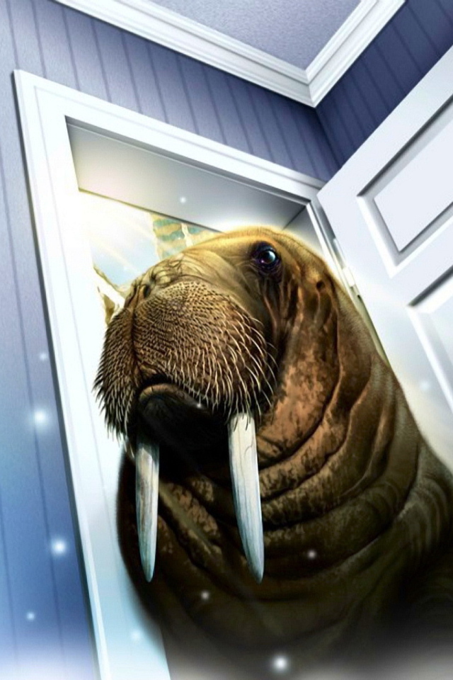 Морж пришел в дом