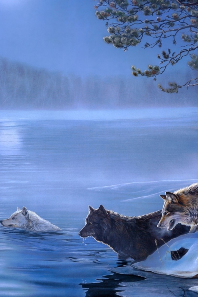 Волки переплывают реку