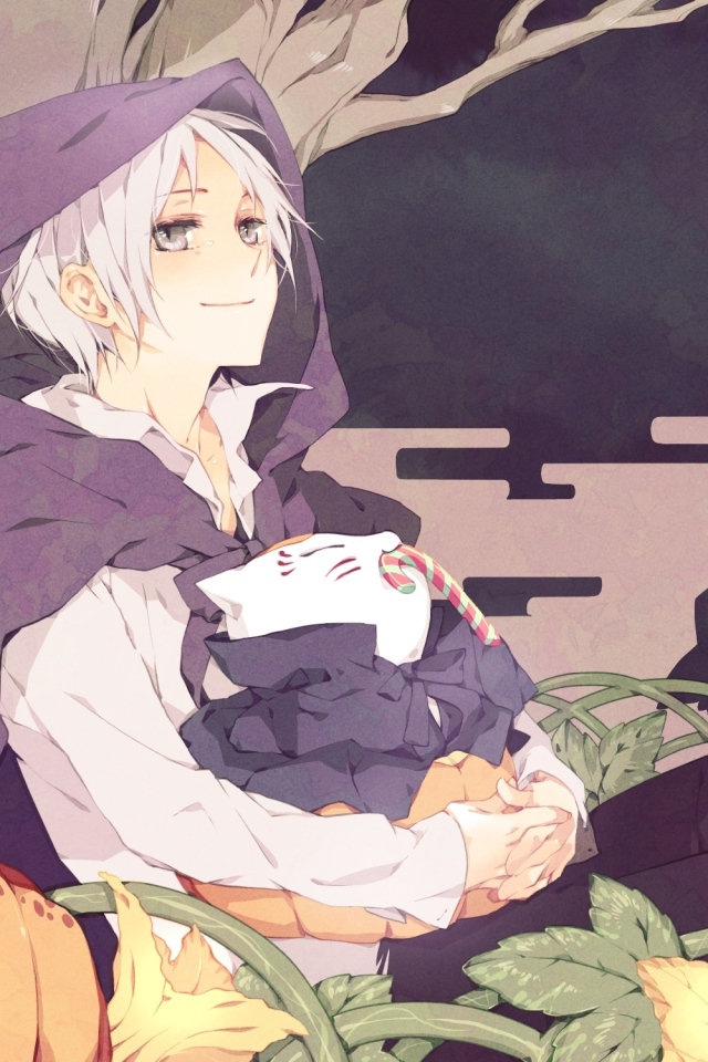 Тетрадь дружбы нацумэ