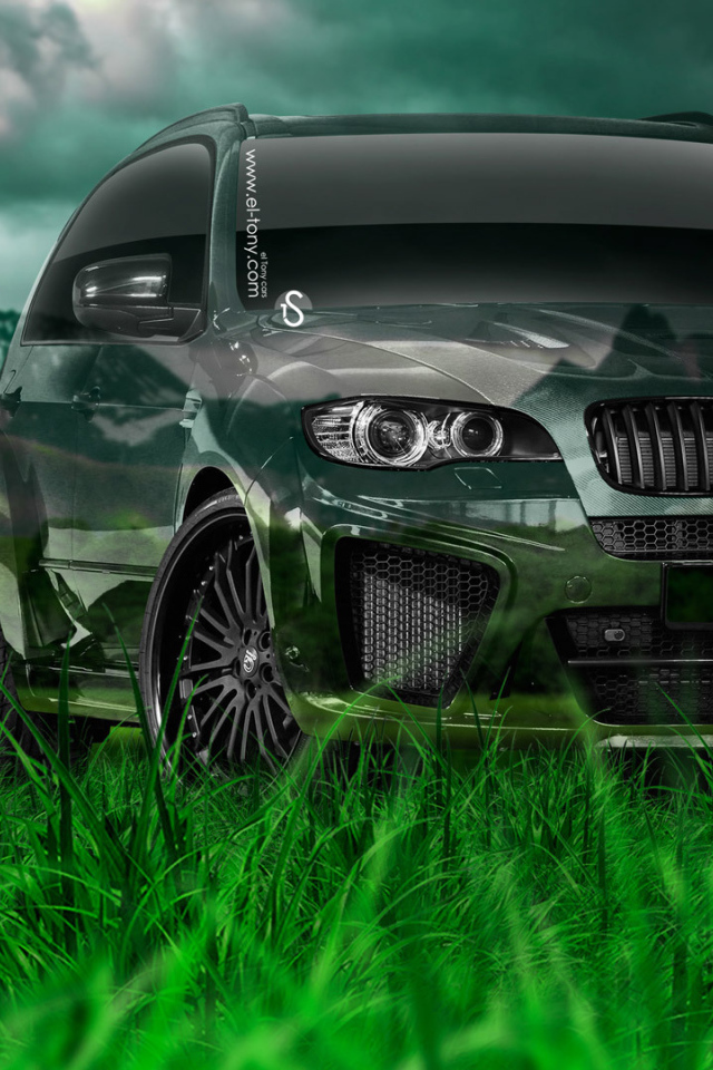 Дух свободы с BMW X5