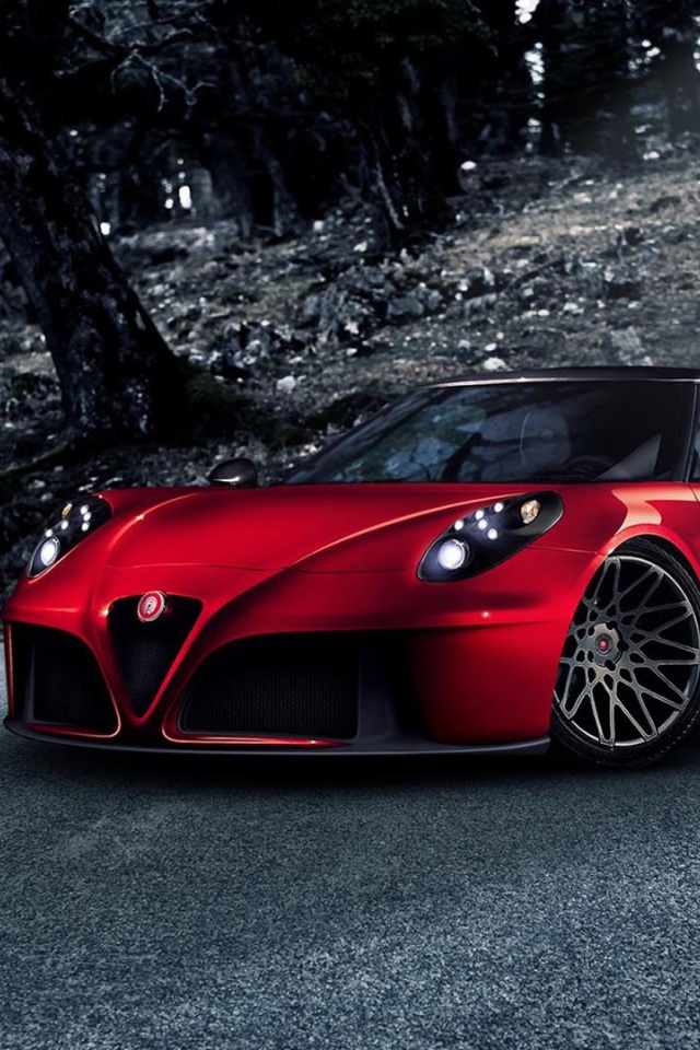 Гоночный Alfa Romeo 4C 2014 года