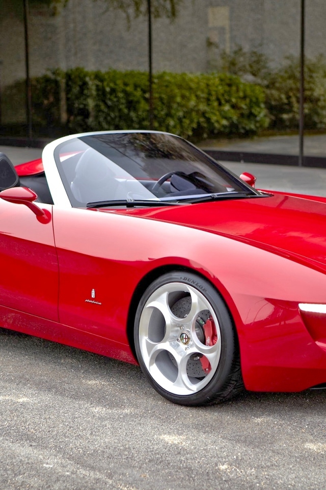 Фото автомобиля Alfa Romeo 33